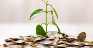 Le PERP est-il une bonne solution de défiscalisation ? Explications !