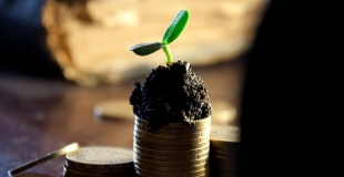La défiscalisation, en quoi ça consiste ? Est-ce légal ? Explications