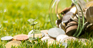 Investissement et greenwashing : attention danger !